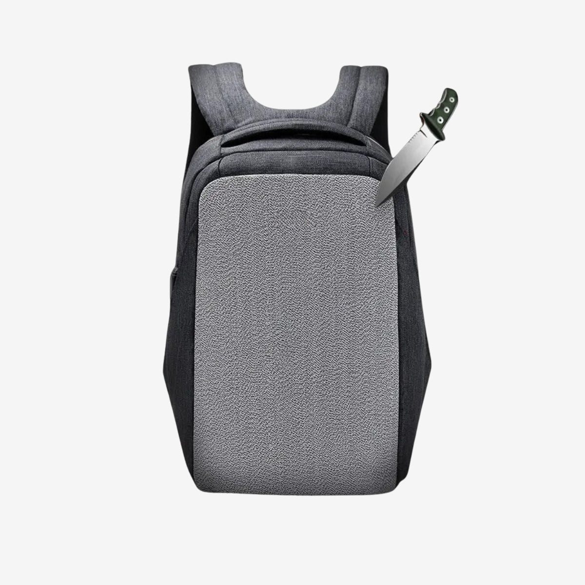 Smart Travel Shield