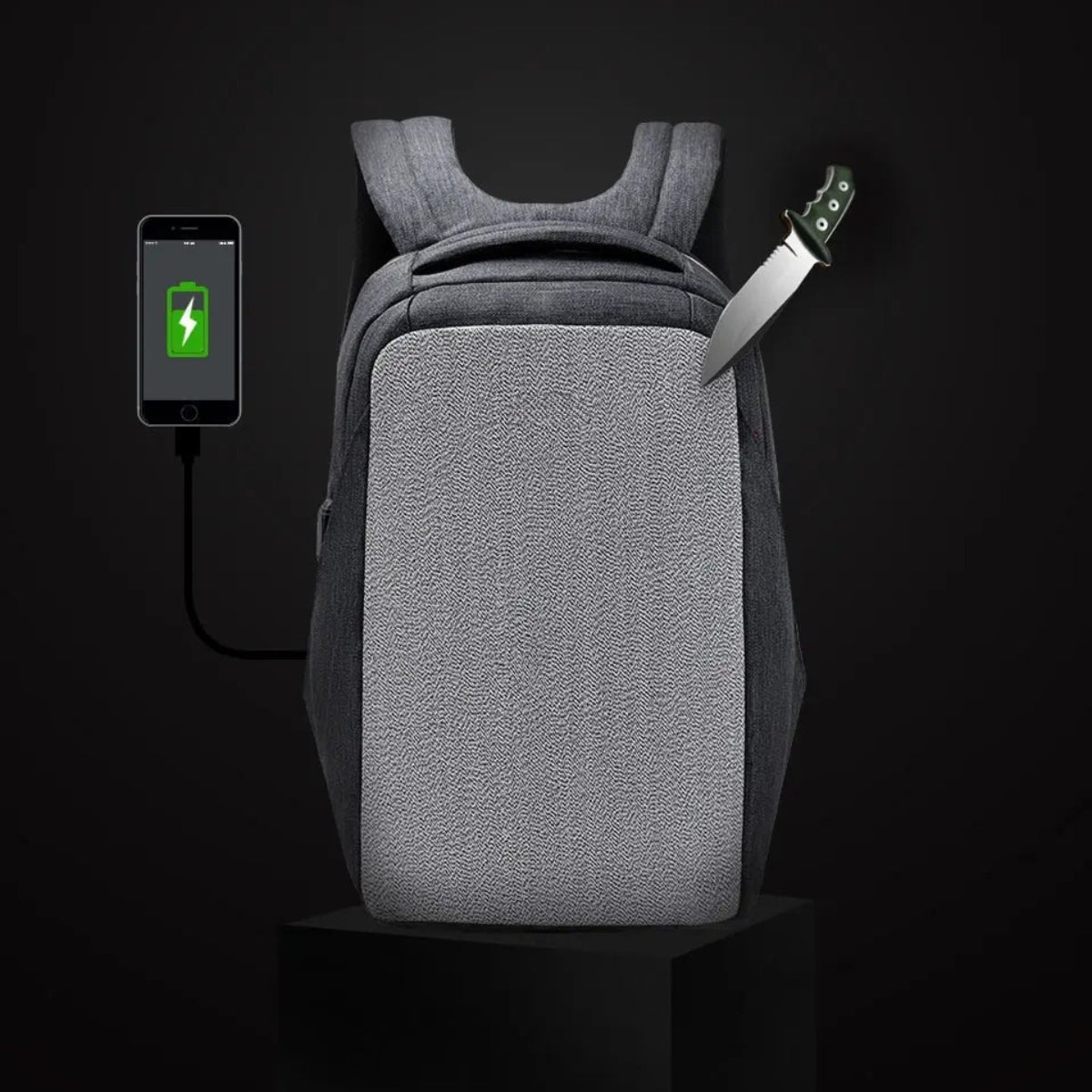 Smart Travel Shield