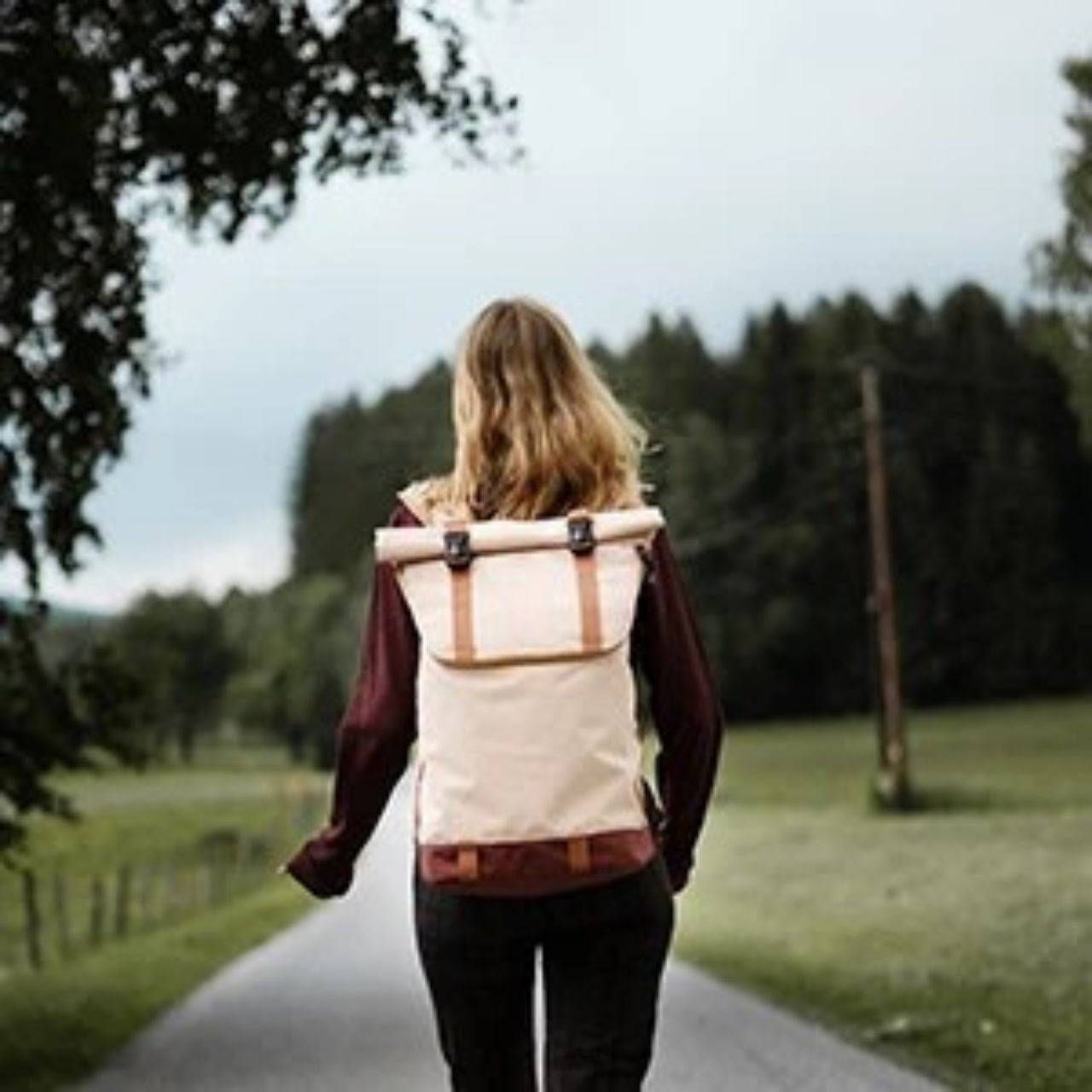 FlexPort Backpack