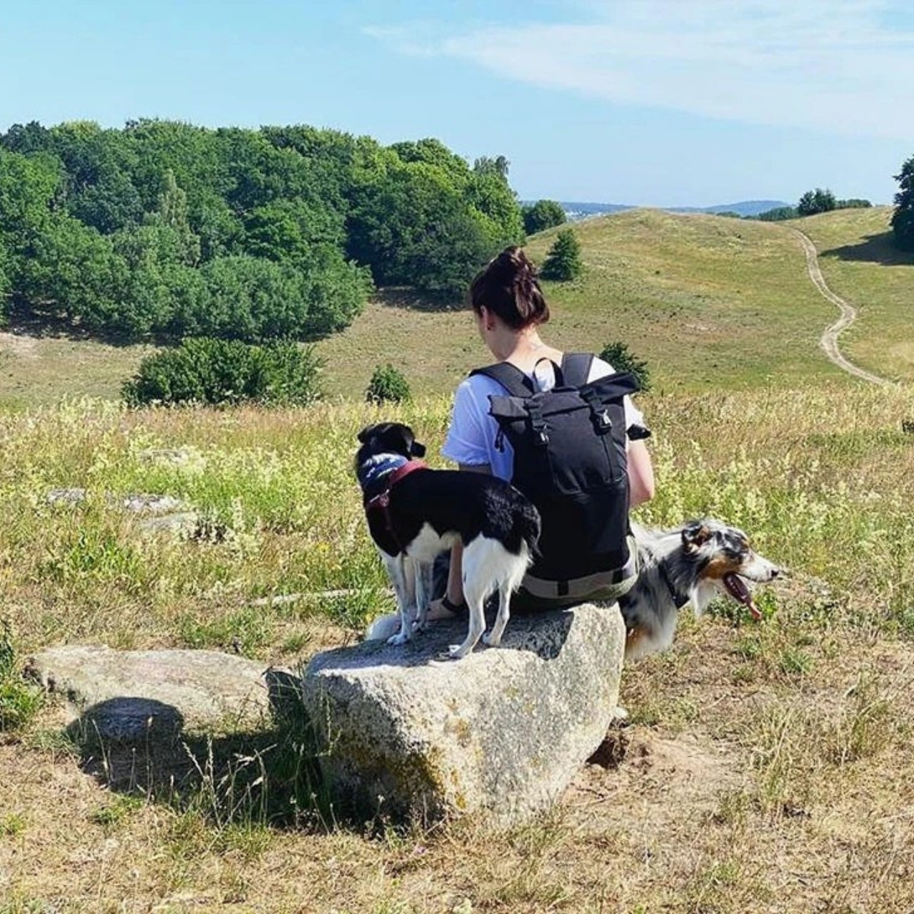 FlexPort Backpack