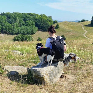 FlexPort Backpack